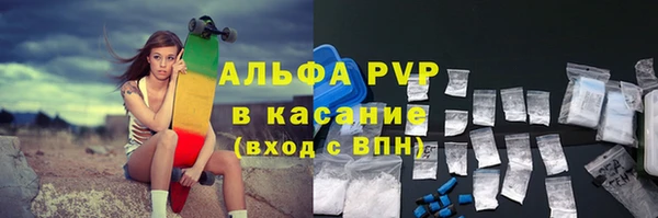 ГАЛЛЮЦИНОГЕННЫЕ ГРИБЫ Горно-Алтайск