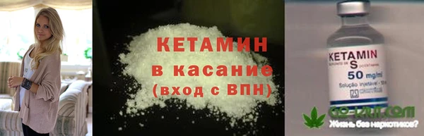 ГАЛЛЮЦИНОГЕННЫЕ ГРИБЫ Горно-Алтайск