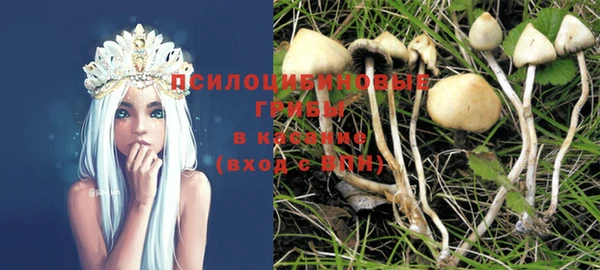 ГАЛЛЮЦИНОГЕННЫЕ ГРИБЫ Горно-Алтайск