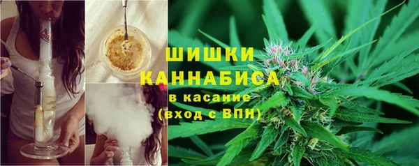 эйфоретик Горнозаводск