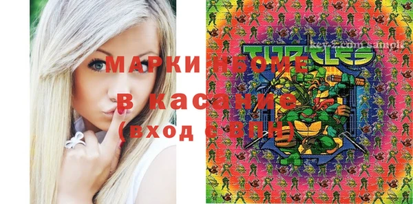 ГАЛЛЮЦИНОГЕННЫЕ ГРИБЫ Горно-Алтайск