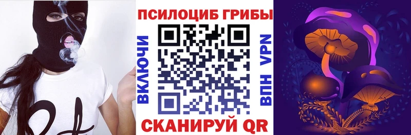 Псилоцибиновые грибы Psilocybine cubensis  цены   Энгельс 
